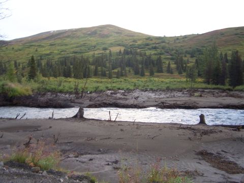 1979 Chevrolet Blazer - A wide river flows through a sandy landscape with sparse vegetation and a distant, tree-covered hill under a bright sky.