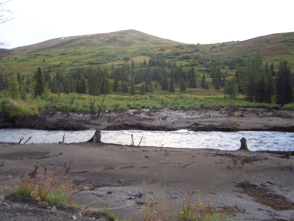 River flowing through a sandy bank with dead trees and a green, tree-covered hill in the background