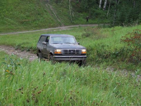 1995 Ford Bronco - A 1995 Ford Bronco navigates a dirt path in a grassy, wooded area.