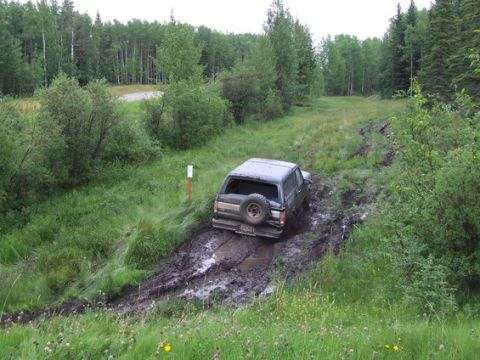 1995 Ford Bronco - This dark SUV is stuck in the mud on a wooded trail, with its spare tire visible on the back.