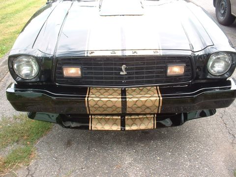 1978 Ford Mustang II - Front view of a black 1978 Ford Mustang II Cobra II, gold racing stripes and a prominent snake emblem on the grille.