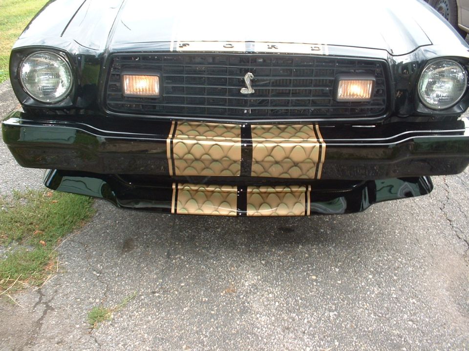1978 Ford Mustang II Cobra II front end with gold snake scale stripes on bumper