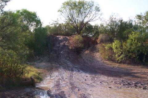 1996 Ford Bronco - Off-road trail with mud and tire tracks, leading up a dirt hill with trees.