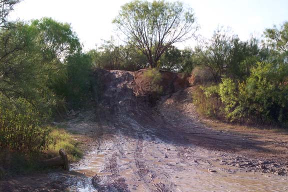Muddy off-road trail with tire tracks leading up a hill, surrounded by trees