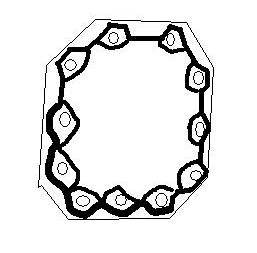 1982 Ford LTD Crown Victoria - Diagram of a gasket bolt pattern with numbered positions indicating the bolt tightening sequence.