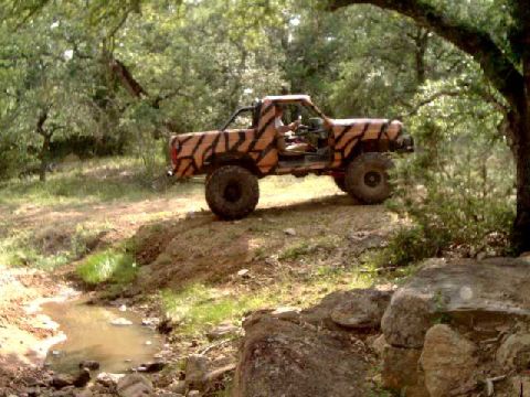 1984 Ford Bronco - An off-road vehicle with a distinctive tiger stripe paint job navigates a wooded area with a small stream nearby.