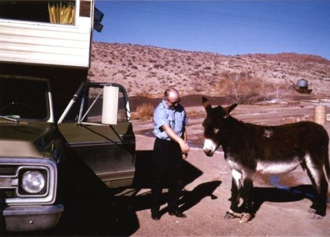 1976 Ford F-150 - A man stands next to a green pickup truck with a camper shell, while a donkey stands nearby in a desert landscape.