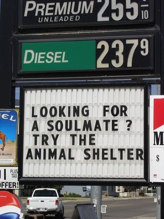 1976 Ford F-150 - A gas station sign displays fuel prices and a message encouraging people to try the animal shelter to find a soulmate.