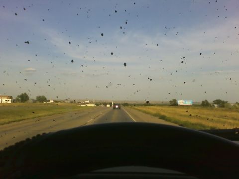 1989 Ford Bronco - Driving down a highway with a bug-splattered windshield under a clear sky.