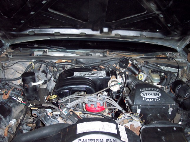 Ford engine bay with black valve covers and 'GENUINE STOLEN PARTS' cover