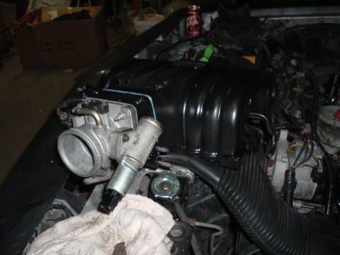 1989 Ford Crown Victoria LTD - Close-up of engine components including throttle body and intake manifold.