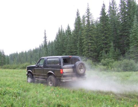 1988 Ford Bronco - Ford Bronco driving off-road through a grassy field with a forest in the background.