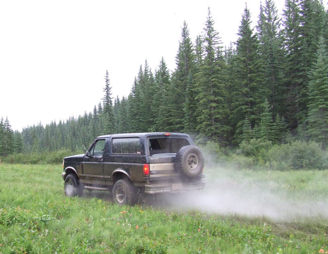 Ford Bronco driving on a dirt path kicking up dust, surrounded by trees