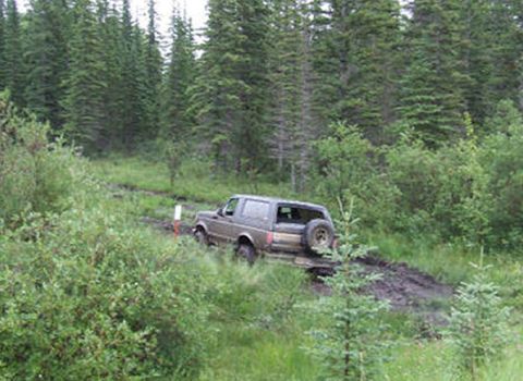 1988 Ford Bronco - Ford Bronco tackles a challenging muddy path through a dense forest.