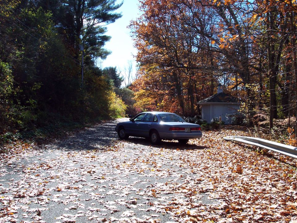 Blue 2001 Ford Crown Victoria sedan parked on a road covered in fallen leaves, seen from the rear