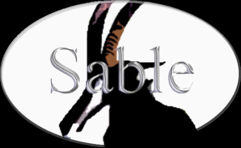 2000 Ford Taurus - Sable Sticker 1