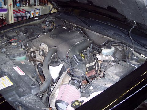2001 Ford Crown Victoria - Engine bay of a 2001 Ford Crown Victoria, an aftermarket air intake system.
