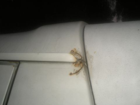 1990 Ford Bronco - Rust is visible on the seam of a white panel.