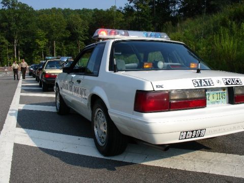 1993 Ford Mustang - A line of police cars, including a white Ford Mustang, are parked on a road with trees in the background.