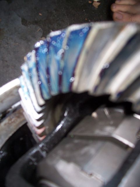 1995 Toyota Hilux - Differential gear teeth coated in blue grease, indicating recent lubrication or inspection.
