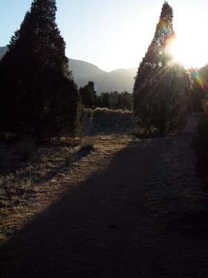 1972 Ford Ranchero - A sunlit path winds through trees towards distant mountains.