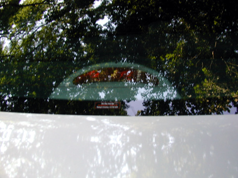 2000 Ford Taurus - Shot of the rear window. The Semi-oval of the Brake Light is all the original shade. Around it is the tint. The reflection on my window and…