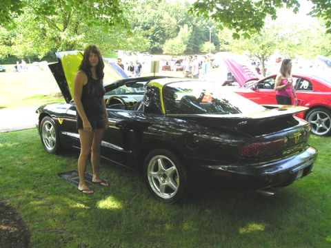 1984 Pontiac Fiero - A black Pontiac Firebird Trans Am is parked on grass with its hood open, a woman stands beside it.