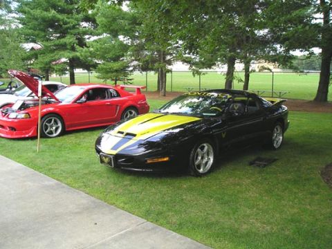 1984 Pontiac Fiero - A black 1994 Pontiac Firebird with yellow racing stripes is parked on a grassy lawn.