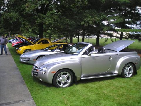 1984 Pontiac Fiero - Several cars are lined up on a grassy area under trees, with one silver convertible in the foreground.