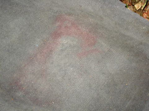 2000 Ford Taurus - Close-up of gray automotive carpet pulled out of a car and laid on the ground, showing a large reddish-purple stain soaked across the pile.…
