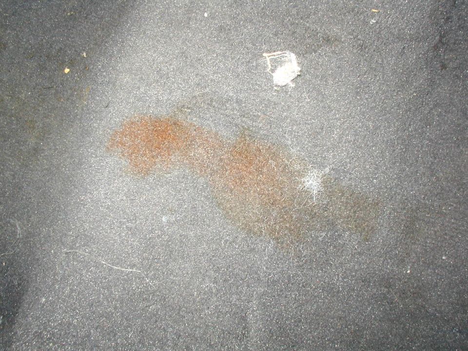 Reddish-brown stain on gray interior carpet, close-up with flash