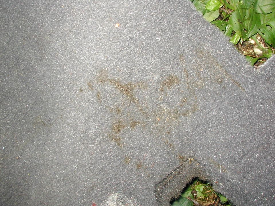 Stain and debris in the pile of gray car carpet removed and laid on grass