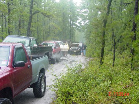 1995 Dodge 1500 - Multiple trucks and SUVs are lined up on a wet, dirt road surrounded by trees.