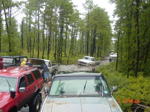 1995 Dodge 1500 - Multiple trucks and SUVs are seen driving through a muddy, wooded trail, with one vehicle stuck in the water.