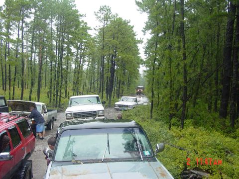 1995 Dodge 1500 - A convoy of trucks navigates a challenging, muddy path through a dense forest.