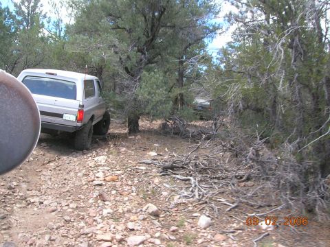 1985 Ford Bronco - A silver Ford Bronco drives off-road through a wooded area, with another vehicle following behind.