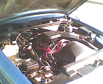 1994 Ford Crown Victoria - The engine bay of a 1994 Ford Crown Victoria, showing the engine and various components under the hood.