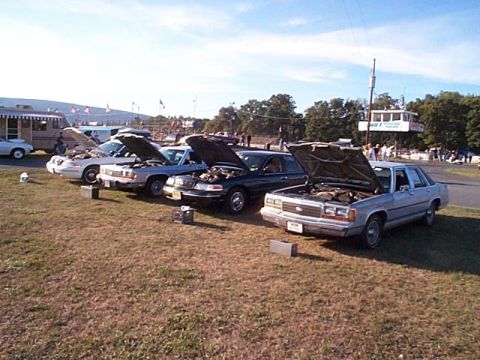 1991 Ford LTD Crown Victoria - A row of four full-size Ford sedans parked on grass at an outdoor car show with their hoods propped open and show placards set on the groun…