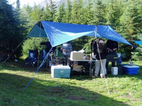2000 Ford E350 - People are camping under a tarp in a wooded area with mountains visible.