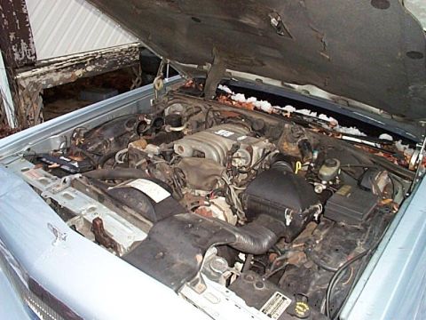 1991 Ford Crown Victoria - The engine bay of a car is visible with the hood raised, revealing the engine and surrounding parts.