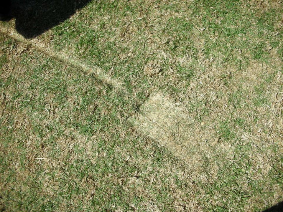 Sunlit patchy green grass field with a shadow line across it