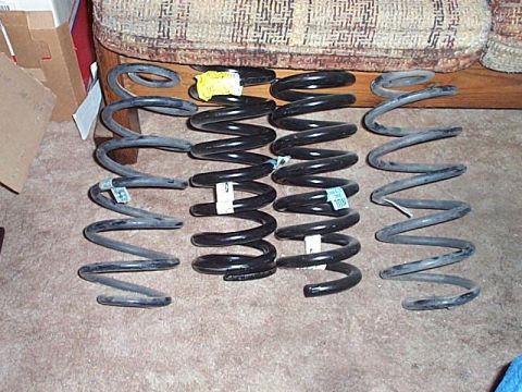 1991 Ford Crown Victoria - Front springs (inboard in pic) are P/N D9AZ-5310-ANA. Rear springs (outboard in pic) are P/N D9AZ-5560-AL.