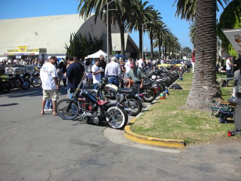 1998 Ford Crown Victoria - long row of vintage and chopper motorcycles lined up on a curb and lawn at a busy outdoor show with palm trees and spectators.