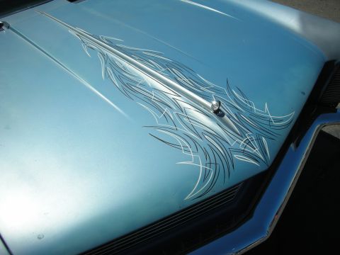 1998 Ford Crown Victoria - Close-up of a light blue metallic car hood decorated with intricate white and black pinstriped scroll designs.