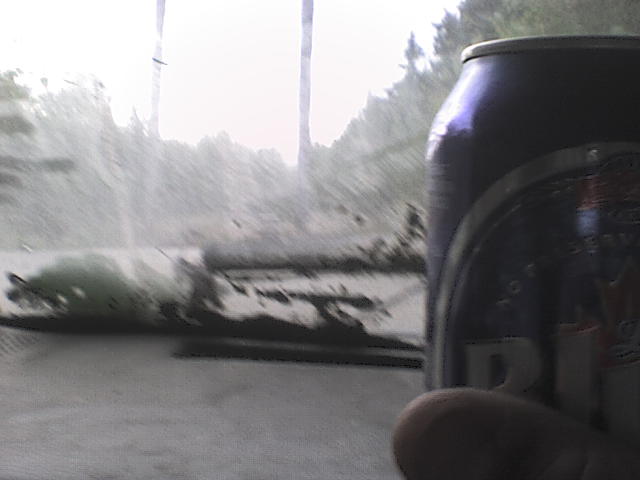 Close-up of a purple soda can in front of a blurry outdoor scene with trees