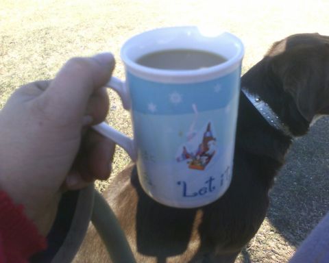 1989 Ford Bronco - A hand holds a mug with a winter scene and the words 'Let it' as a dog stands nearby.