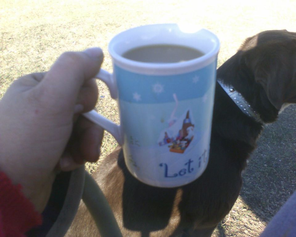 Hand holding mug with 'Let it' text next to a dog