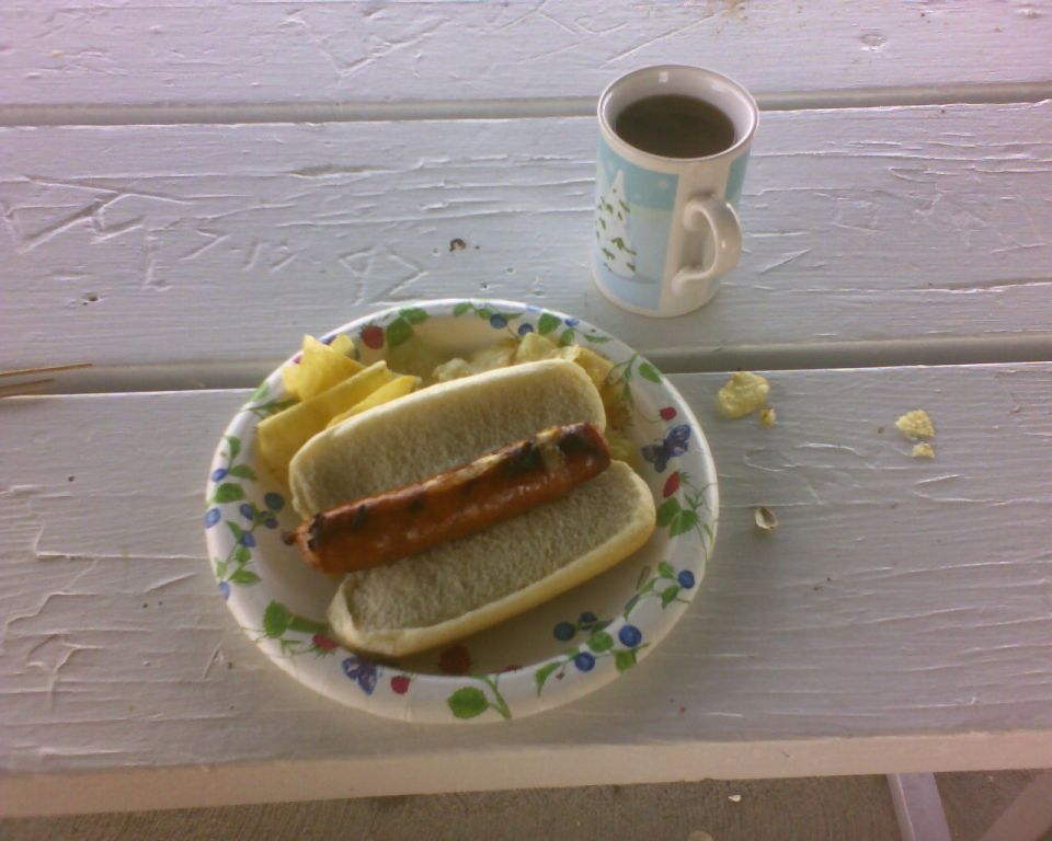 hot dog on a bun with chips and a mug of coffee on a picnic table