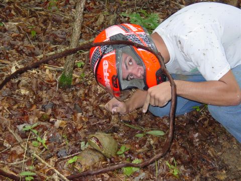1998 Ford Mustang - Person in helmet examines something on the ground in a wooded area.