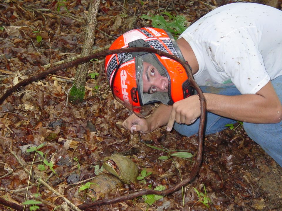 Person wearing an orange helmet points down at the forest floor covered in leaves and debris